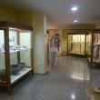 Museo Arqueológico Municipal de Novelda