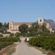 Monasterio Sant Jeroni de Cotalba