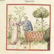 Mujeres en trabajos textiles (Tacuinum Sanitatis - siglo XV)